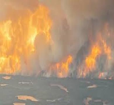 إحصائية : اضرار بقيمة 131 مليار دولار حول العالم بسبب الكوارث الطبيعية 